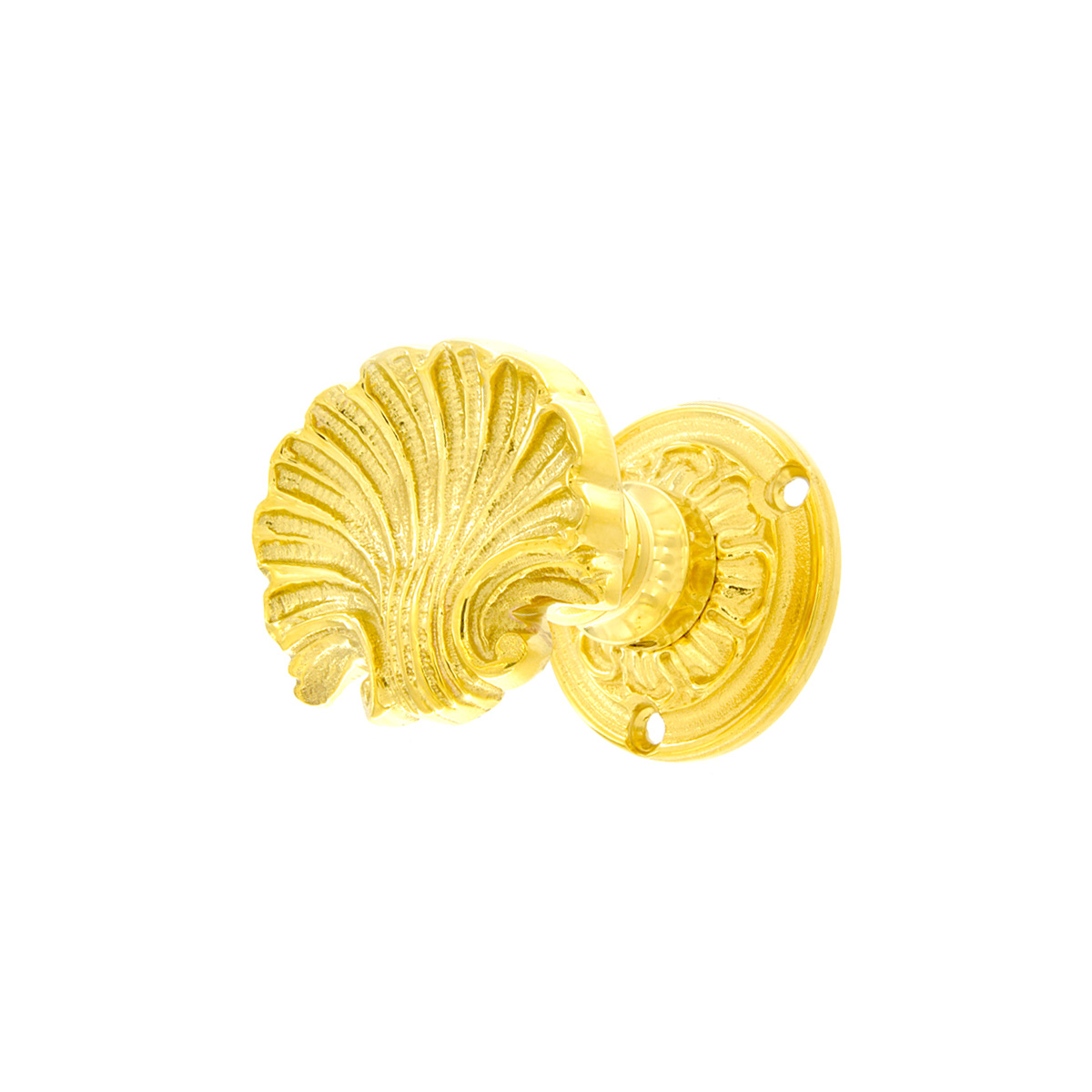 Doppio Pomo Conchiglia - immagine 2