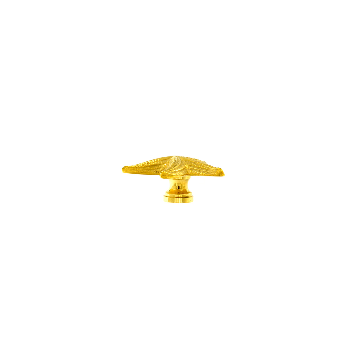 Pomello Stella marina mini - immagine 3