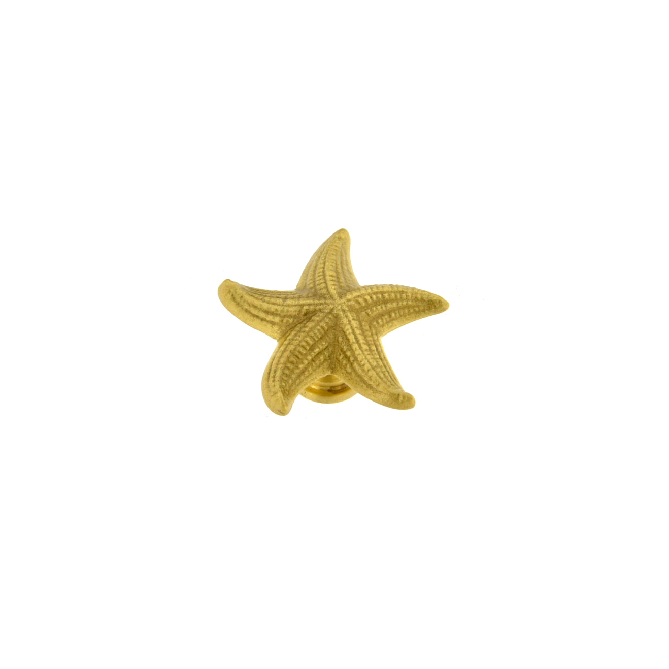 Pomello Stella marina mini - immagine 6