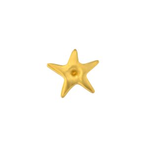 Pomello Star