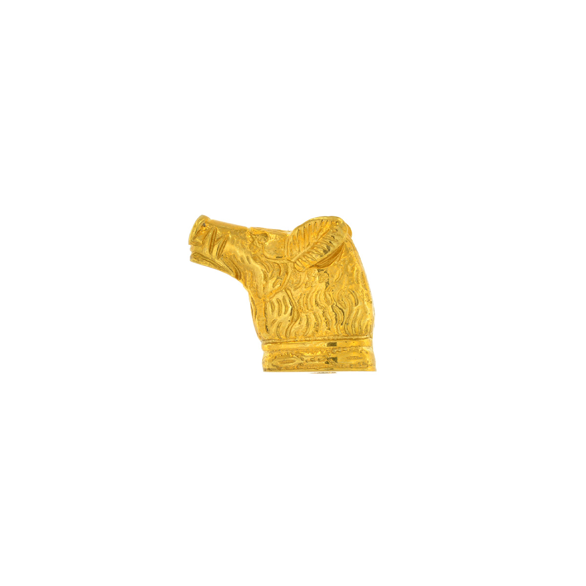 Pomello Cinghiale - immagine 2