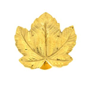 Embrasse Edera