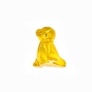 Bestiario Foca Piccola