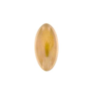Doppio Pomo Olivo medio