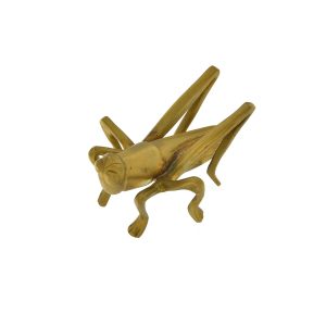 Bestiario Cavalletta