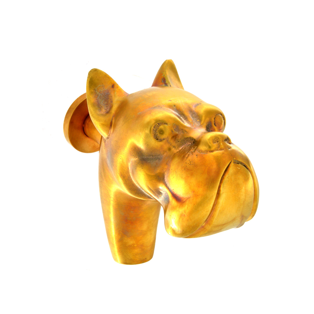 Bestiario Boxer - Image 2