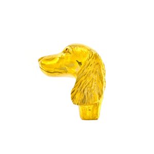 Bestiario Cane testa Setter