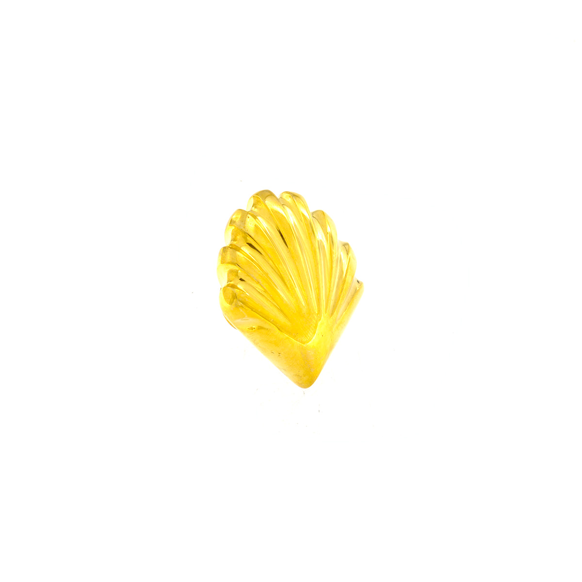 Bestiario Conchiglia ventaglio - immagine 2
