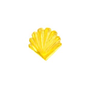 Bestiario Conchiglia ventaglio