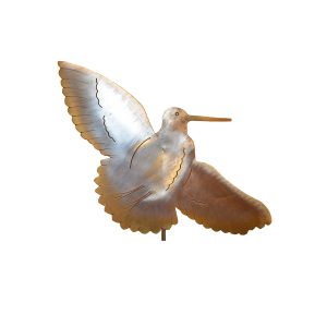 Ventarola Beccaccia