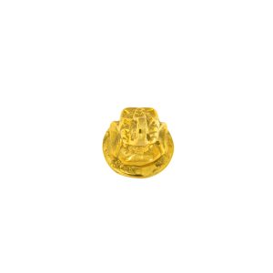 Pomello elefante indiano