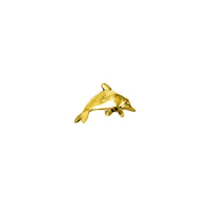Bestiario Delfino grande
