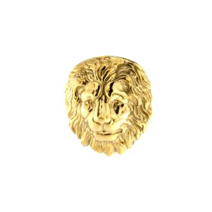 Embrasse Leone